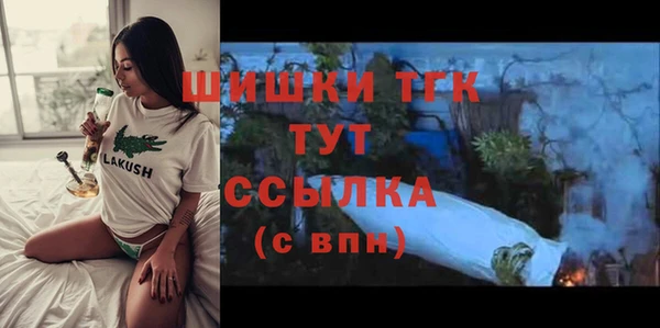дурь Пестово