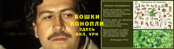 дурь Пестово