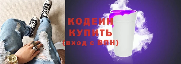 дурь Пестово