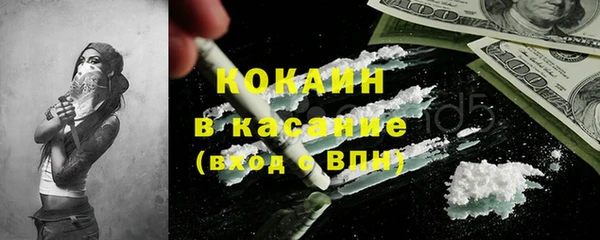 дурь Пестово