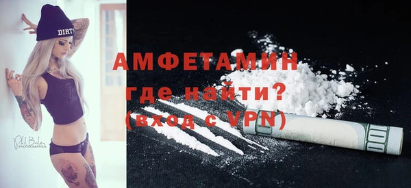 шишки Пересвет