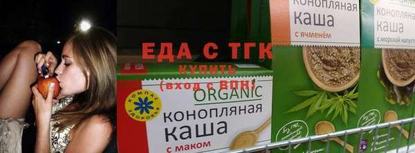 шишки Пересвет