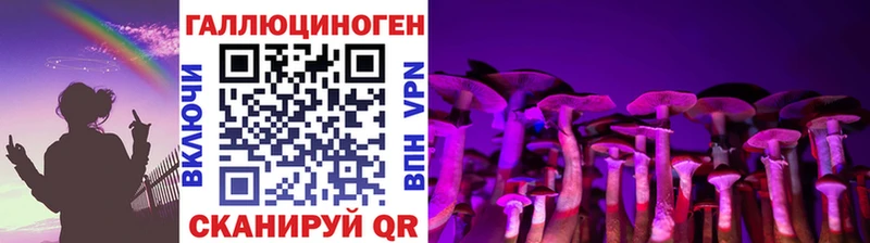 наркотики  Ивангород  Псилоцибиновые грибы Psilocybe 